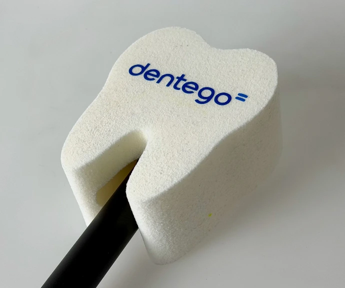 SchulzArt: Creative Windscreen