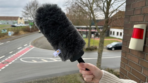 WJ 191 SchulzCat Evolution