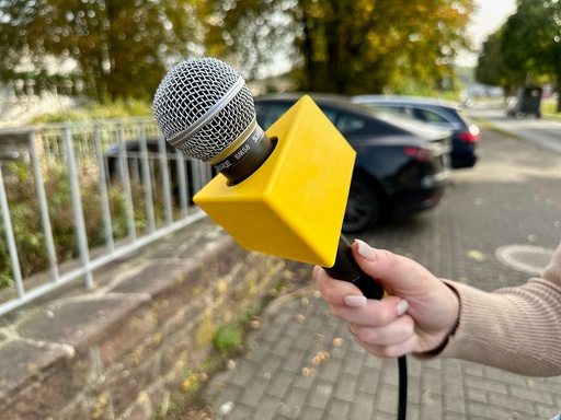 Driehoekige plastic vlag 9001